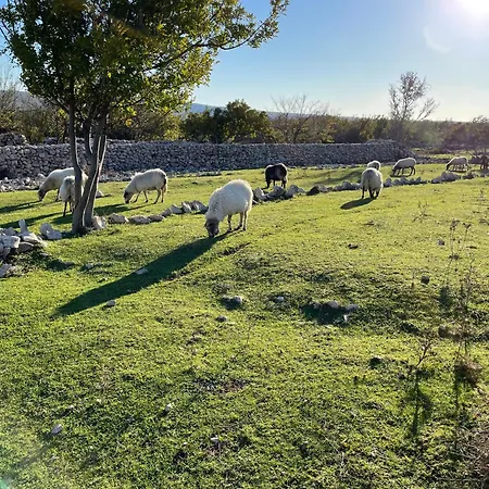 Villa Mikulica Holiday home Dobrinj